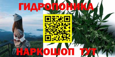 гидропоника Краснокаменск