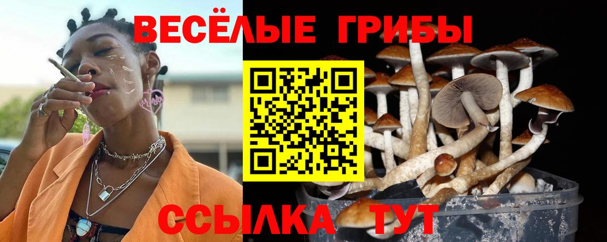 Галлюциногенные грибы мухоморы Арсеньев