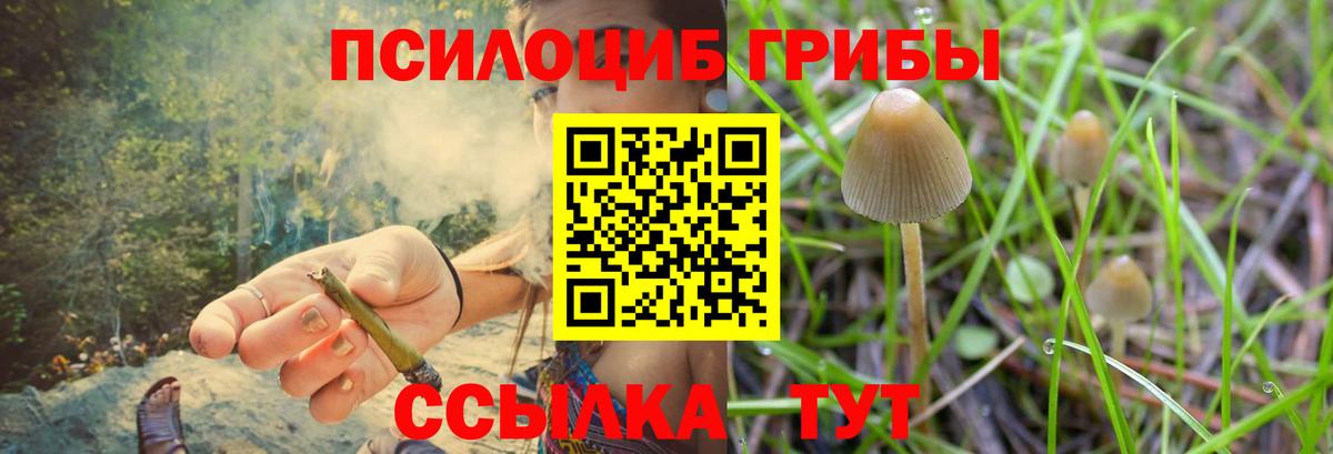 Псилоцибиновые грибы мухоморы  Галлюциногенные грибы Cubensis  Арсеньев  как найти закладки  Вход с VPN 